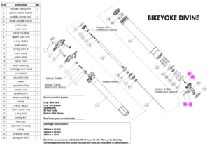 DIVINE expanded view ACTLEV